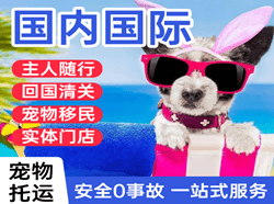 榆林榆阳国际宠物托运 【国